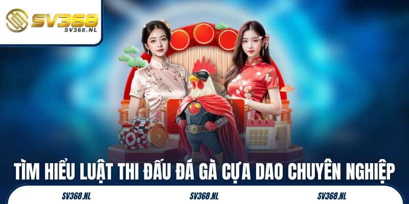 Tìm hiểu luật thi đấu đá gà cựa dao chuyên nghiệp