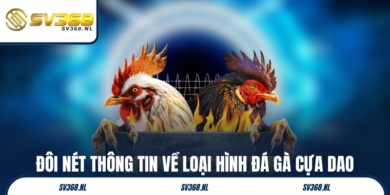Đôi nét thông tin tổng quan về loại hình đá gà cựa dao