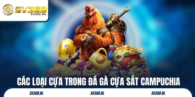 Khám phá các loại cựa trong đá gà cựa sắt Campuchia