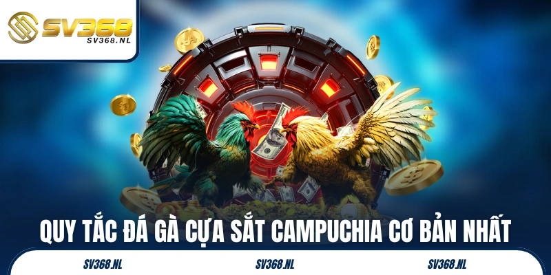 Quy tắc đá gà cựa sắt Campuchia cơ bản nhất
