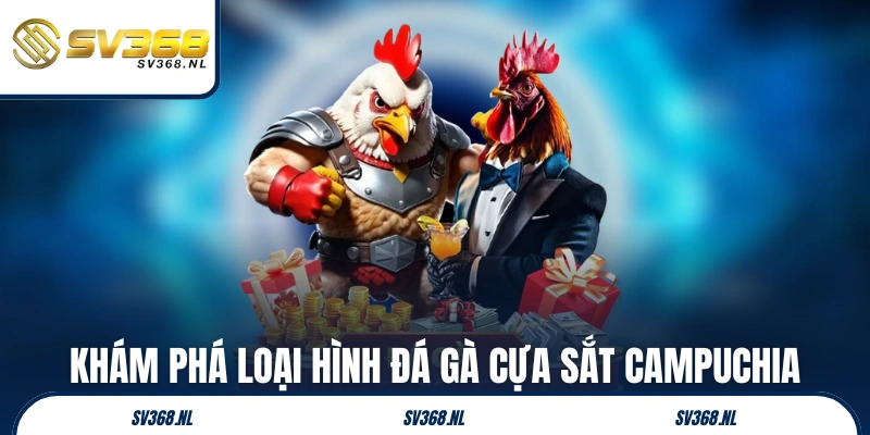 Khám phá sơ lược loại hình đá gà cựa sắt Campuchia