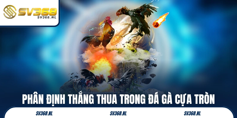 Phân định thắng thua trong các trận đá gà cựa tròn