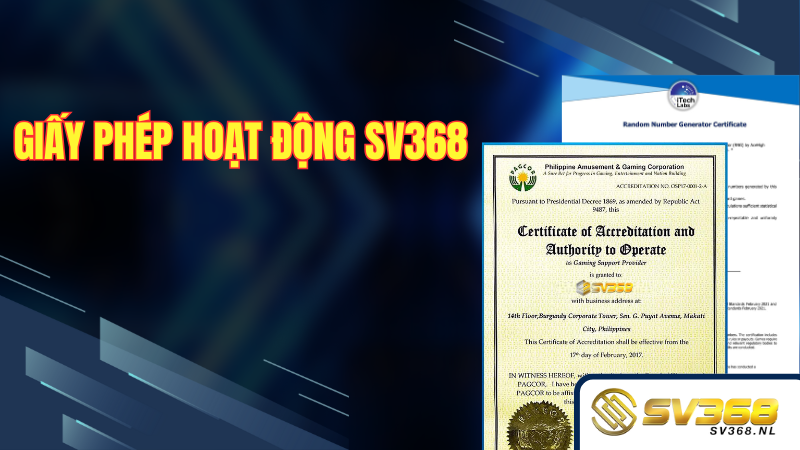 Giấy phép hoạt động SV368