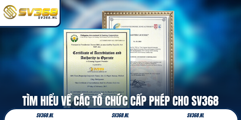 Tìm hiểu về các tổ chức cấp phép cho SV368