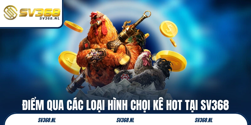 Điểm qua các loại hình chọi kê hot tại SV368
