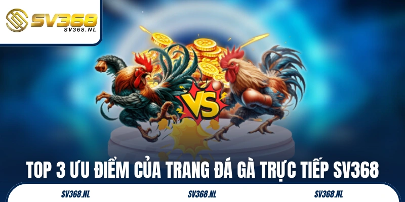 Top 3 ưu điểm của trang đá gà trực tiếp SV368